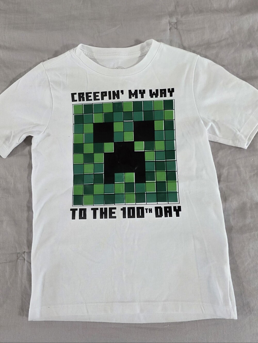 Boys Minecraft Inspired 100th Day of School Tshirt size S 6-7